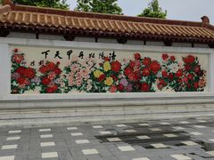 -神州牡丹园