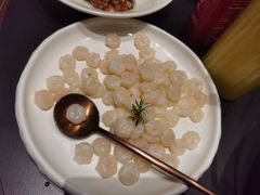 -沪碟·精菜坊(闵行店)