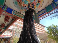 -大明幻境第一城