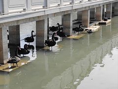 -长兴太湖图影湿地文化园