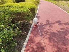 -绿堤公园