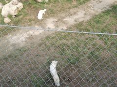 -石家庄市动物园