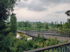 -白鹭湾湿地公园