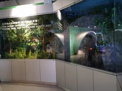 -中国地质大学逸夫博物馆