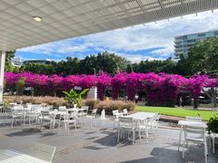 -布里斯班南岸公园