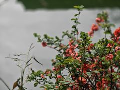 -观潮胜地公园
