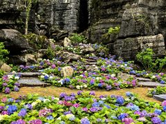 -梭布垭石林景区