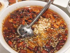 -鸭匠食府·挂炉烤鸭·新京菜(阜成路店)