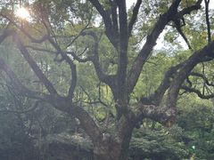 -宁波市保国寺古建筑博物馆