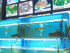 水产区-老东镇啤酒屋海鲜加工·蒸汽海鲜·海鲜烧烤(台东店)