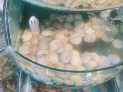 -同道蒸汽海鲜烧烤自助(刘庄夜市店)
