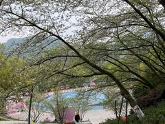 -杭州少年儿童公园