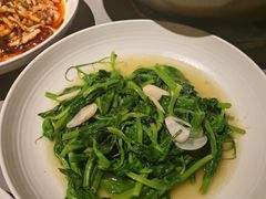 白灼丝瓜尖-三江里·宜宾川菜(亚运村店)