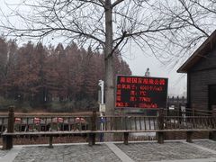 -溱湖国家湿地公园