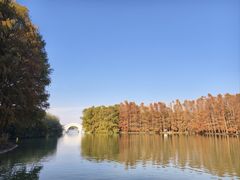 -上海海湾国家森林公园