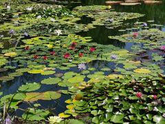 -国家植物园南园