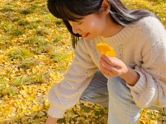 -三里屯东五街银杏大道