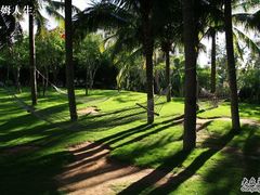 椰林-三亚亚龙湾红树林度假酒店
