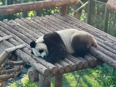 -大连森林动物园