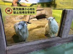 -苏州海洋馆