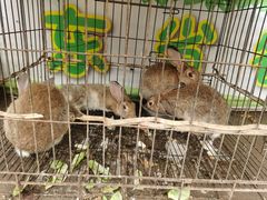 -王婆炒鱼(总店)