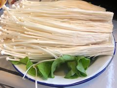 金针菇-春花火锅公司(昌建广场店)