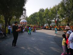 -北戴河集发农业梦想王国