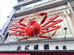 -蟹道乐(道顿堀本店)