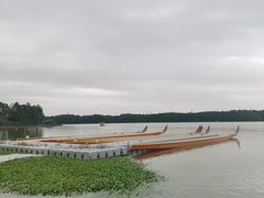 -上海海湾国家森林公园