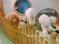 -藦茜花园宠物主题亲子互动体验馆(国顺东路店)