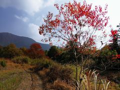 -塔川景区