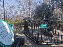 -紫金山天文台