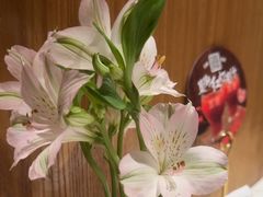 -胡大饭馆 24h(簋街总店)