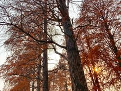-东湖磨山景区