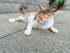 -宝通禅寺