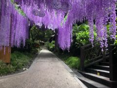 -融汇温泉