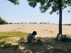 -东郊湿地公园