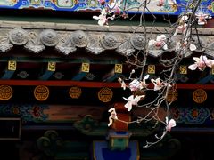 -碑林公园