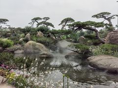 -罗红摄影艺术馆