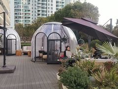 -JW酒廊 JW Lounge(上海鲁能JW万豪侯爵酒店)