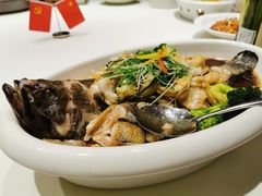 香葱碧绿蒸龙趸鱼-怡情荟•海鲜青岛菜(五四广场旗舰店)