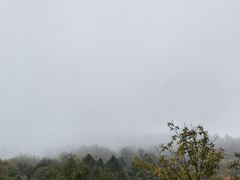 -狮子沟牧场