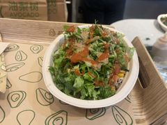 -油梨树AVOCADO TREE(嘉里中心店)