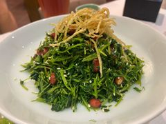 巧拌豆苗-天和晟烤鸭店(玉泉西街店)