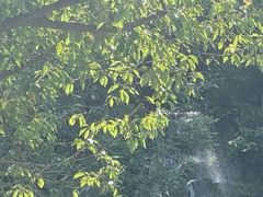 -东钱湖旅游度假区