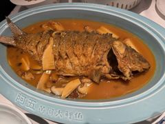 -阿五黄河大鲤鱼(纬三路店)