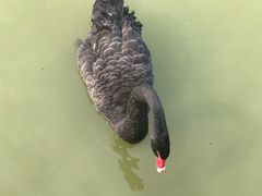 -无锡动物园·太湖欢乐园