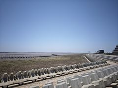 -南汇嘴观海公园