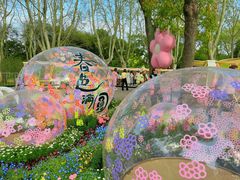 -上海共青森林公园