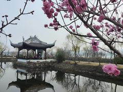 -无锡蠡湖国家湿地公园-蠡园